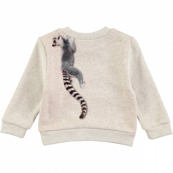 Molo, Dude climbing monkeys sweatshirt