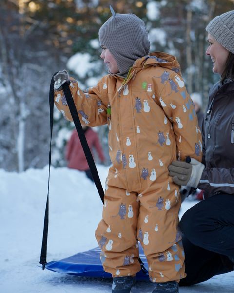 Kattnakken , parkdress snø honning