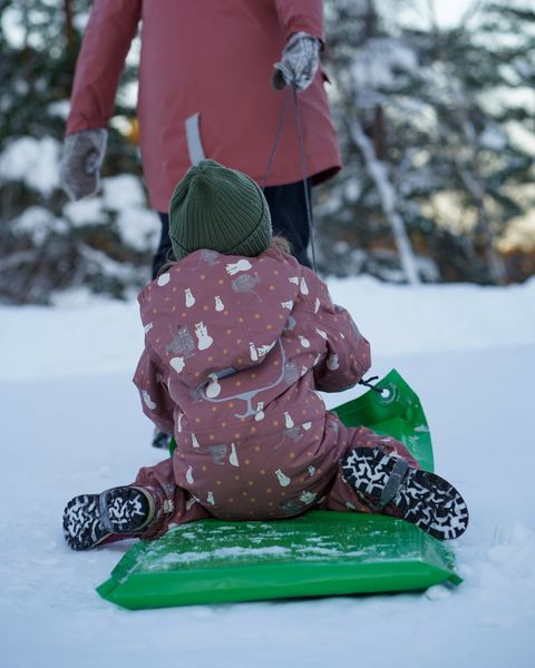 Kattnakken , parkdress snø sandeltre