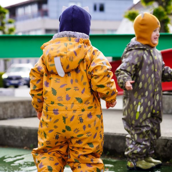 Kattnakken , Vinterregndress slaps honning